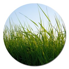 Grass Magnet 5  (round)