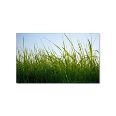 Grass Sticker 10 Pack (rectangle)