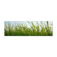 Grass Bumper Sticker 100 Pack by Siebenhuehner