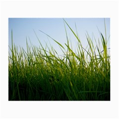 Grass Glasses Cloth (small) by Siebenhuehner