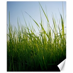 Grass Canvas 8  X 10  (unframed) by Siebenhuehner