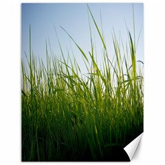 Grass Canvas 12  X 16  (unframed) by Siebenhuehner