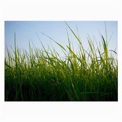 Grass Glasses Cloth (large)