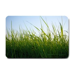 Grass Small Door Mat