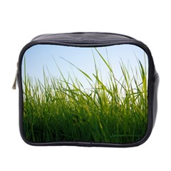 Grass Mini Travel Toiletry Bag (two Sides)