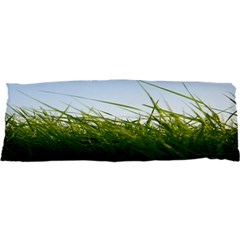 Grass Samsung S3350 Hardshell Case