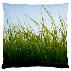 Grass Large Cushion Case (two Sided)  by Siebenhuehner