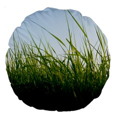 Grass 18  Premium Round Cushion  by Siebenhuehner