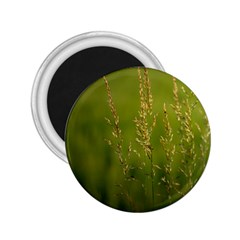 Grass 2 25  Button Magnet