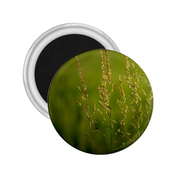 Grass 2.25  Button Magnet