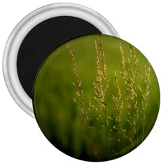 Grass 3  Button Magnet by Siebenhuehner