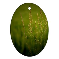 Grass Oval Ornament by Siebenhuehner