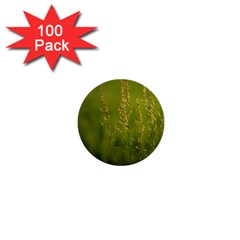 Grass 1  Mini Button (100 Pack) by Siebenhuehner