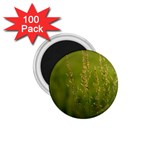 Grass 1.75  Button Magnet (100 pack) Front