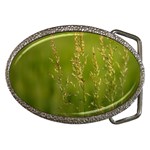 Grass Belt Buckle (Oval) Front