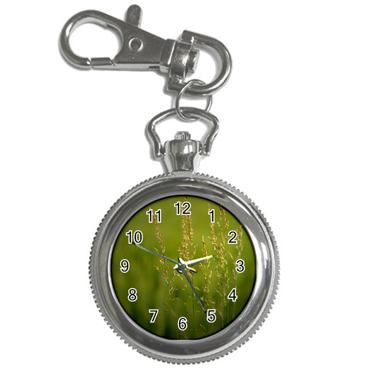 Grass Key Chain & Watch