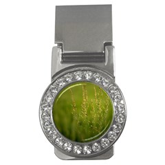 Grass Money Clip (cz)