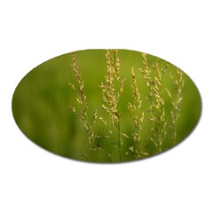 Grass Magnet (oval) by Siebenhuehner