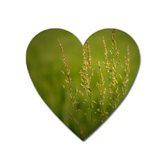 Grass Magnet (heart)