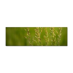 Grass Bumper Sticker 10 Pack by Siebenhuehner