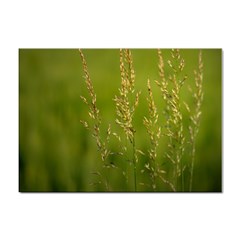 Grass A4 Sticker 100 Pack by Siebenhuehner