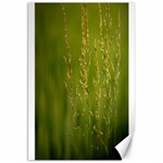 Grass Canvas 20  x 30  (Unframed) 19.62 x28.9  Canvas - 1