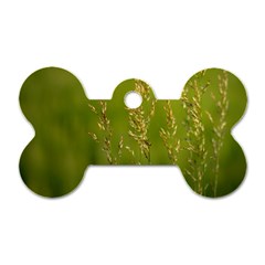 Grass Dog Tag Bone (two Sided)