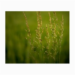 Grass Glasses Cloth (small, Two Sided) by Siebenhuehner