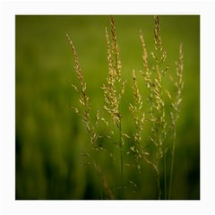 Grass Glasses Cloth (medium) by Siebenhuehner