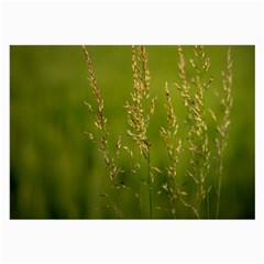 Grass Glasses Cloth (large) by Siebenhuehner