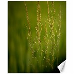 Grass Canvas 11  x 14  (Unframed) 10.95 x13.48  Canvas - 1