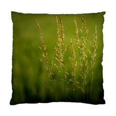 Grass Cushion Case (two Sided)  by Siebenhuehner