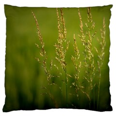 Grass Large Cushion Case (single Sided) 