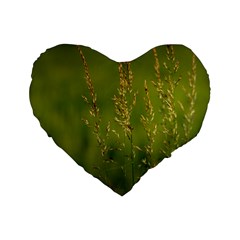 Grass 16  Premium Heart Shape Cushion 