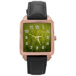 Grass Rose Gold Leather Watch  Front