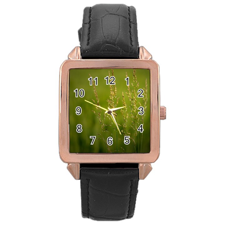 Grass Rose Gold Leather Watch 