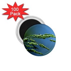 Waterdrops 1 75  Button Magnet (100 Pack) by Siebenhuehner