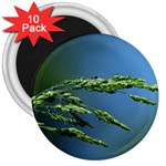 Waterdrops 3  Button Magnet (10 pack) Front