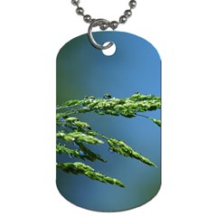 Waterdrops Dog Tag (one Sided)