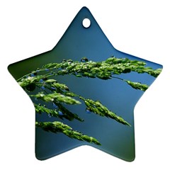 Waterdrops Star Ornament (two Sides) by Siebenhuehner