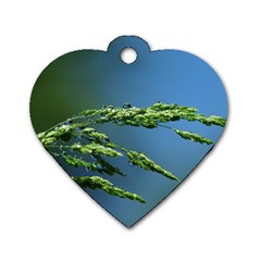 Waterdrops Dog Tag Heart (one Sided) 