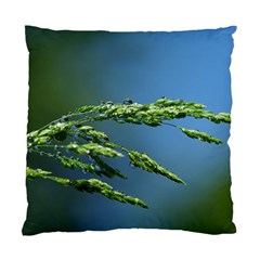 Waterdrops Cushion Case (two Sided)  by Siebenhuehner