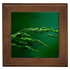 Waterdrops Framed Ceramic Tile