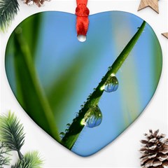 Waterdrops Heart Ornament