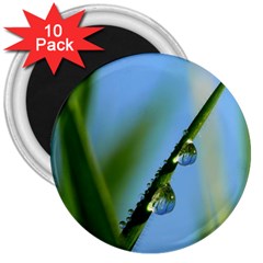 Waterdrops 3  Button Magnet (10 Pack) by Siebenhuehner