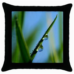 Waterdrops Black Throw Pillow Case