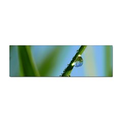 Waterdrops Bumper Sticker 100 Pack by Siebenhuehner