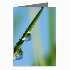 Waterdrops Greeting Card (8 Pack) by Siebenhuehner