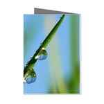 Waterdrops Mini Greeting Card (8 Pack) Left