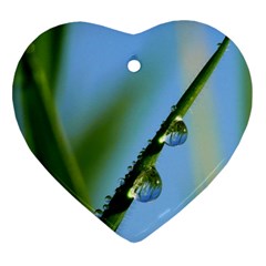 Waterdrops Heart Ornament (two Sides) by Siebenhuehner